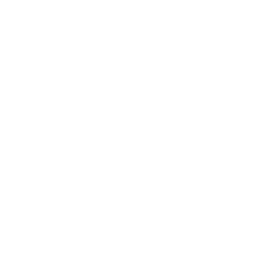 Right Track watermark logo